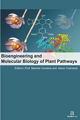 Imagen de archivo de Bioengineering And Molecular Biology Of Plant Pathways a la venta por Basi6 International