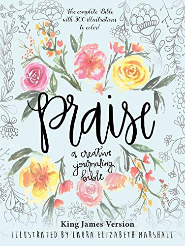 Stock image for Praise: A Creative Journaling Bible for sale by SecondSale