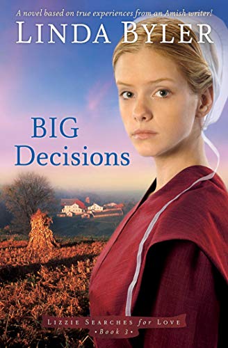 Stock image for Big Decisions: A Novel Based On True Experiences From An Amish Writer! (Lizzie Searches for Love) for sale by Gulf Coast Books