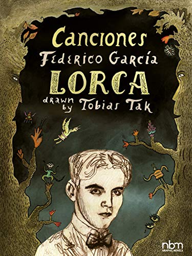 Stock image for Canciones: of Federico Garcia Lorca (Spanish Edition) for sale by GF Books, Inc.