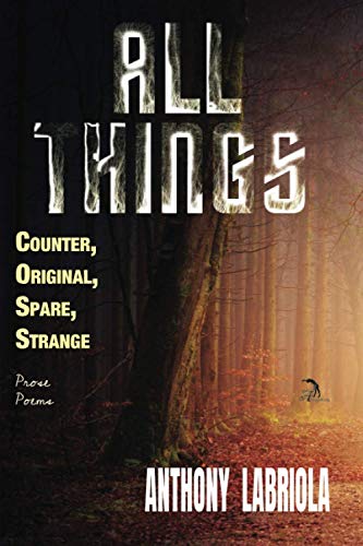 Stock image for All Things Counter, Original, Spare, Strange: Prose Poems for sale by GF Books, Inc.