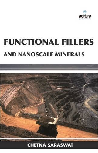 Stock image for FUNCTIONAL FILLERS AND NANOSCALE MINERALS (HB 2017) for sale by Basi6 International