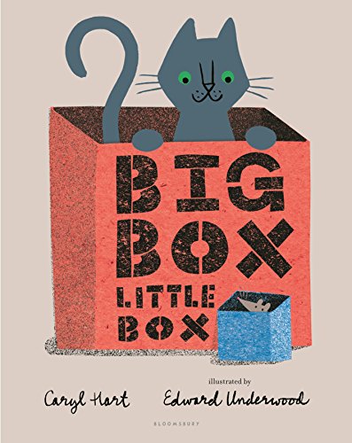 Beispielbild fr Big Box Little Box zum Verkauf von Half Price Books Inc.
