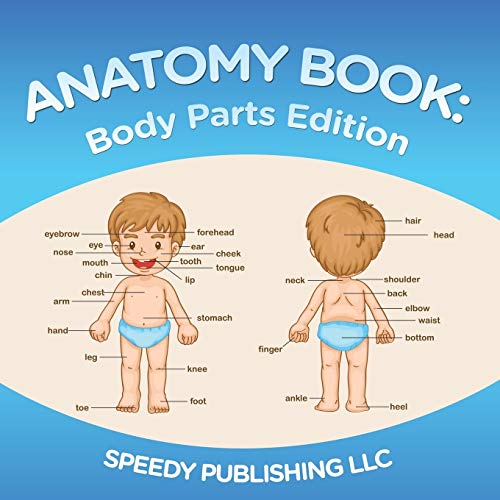 9781681275529: Anatomy Book: Body Parts Edition