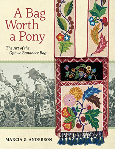 Stock image for A Bag Worth a Pony : The Art of the Ojibwe Bandolier Bag for sale by Better World Books