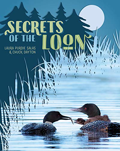 Beispielbild fr Secrets of the Loon zum Verkauf von Goodwill