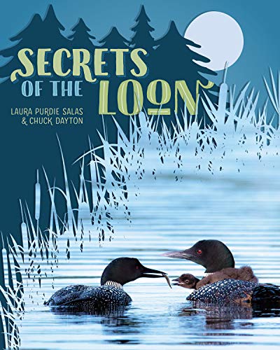 Stock image for Secrets of the Loon for sale by Lakeside Books
