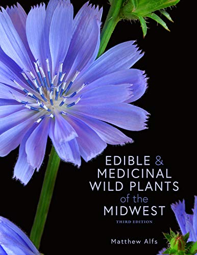 Stock image for Edible and Medicinal Wild Plants of the Midwest for sale by Lakeside Books