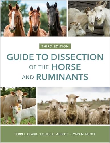 Stock image for Guide to Dissection of the Horse and Ruminants, 3rd Edition for sale by SecondSale