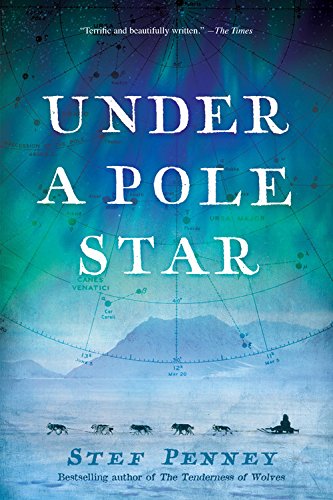 Stock image for Under a Pole Star for sale by Better World Books