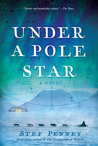 Beispielbild fr Under a Pole Star zum Verkauf von Better World Books