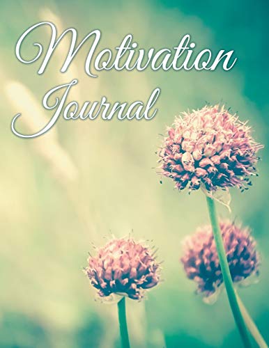 9781681452401: Motivation Journal
