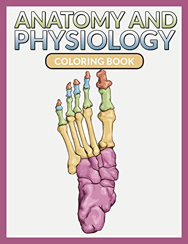 9781681459844: Anatomy And Physiology Coloring Book