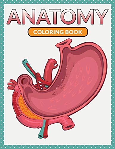 Beispielbild fr Anatomy Coloring Book zum Verkauf von Chiron Media