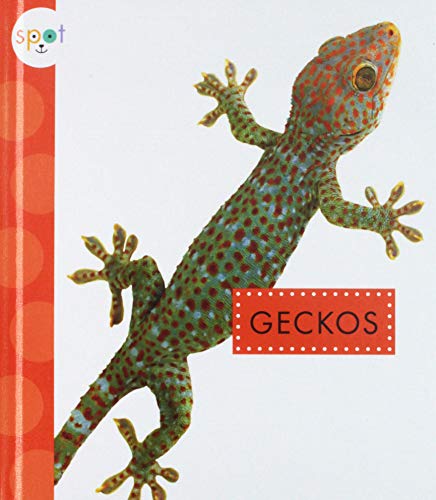 Beispielbild fr Geckos zum Verkauf von Better World Books