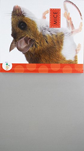 9781681510934: El Raton (Mice) (Spot Backyard Animals)