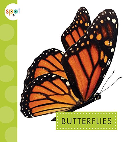 Stock image for Butterflies for sale by ThriftBooks-Atlanta