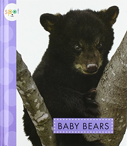 Beispielbild fr Baby Bears zum Verkauf von Better World Books