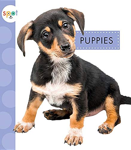 9781681515359: Puppies (Spot Baby Farm Animals)
