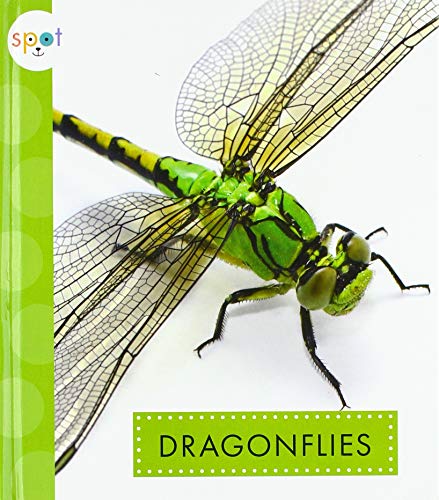 Beispielbild fr Dragonflies (Spot Creepy Crawlies) zum Verkauf von Housing Works Online Bookstore