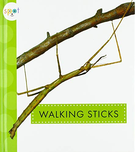 Beispielbild fr Walking Sticks zum Verkauf von Better World Books: West