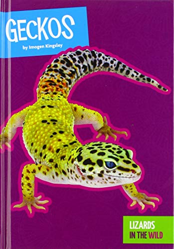 Imagen de archivo de Geckos a la venta por ThriftBooks-Atlanta