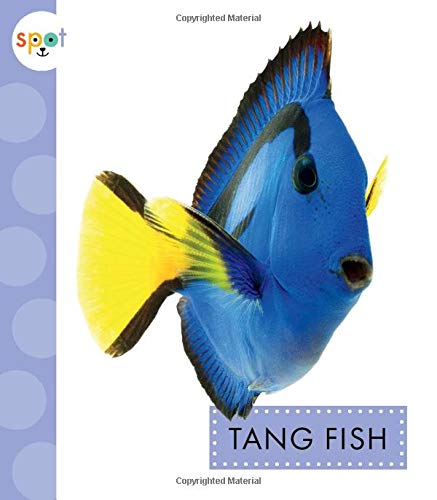 9781681516349: Tang Fish (Spot. Ocean Animals)