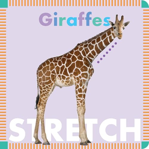 9781681520698: Giraffes Stretch (Amicus Ink Boardbooks)