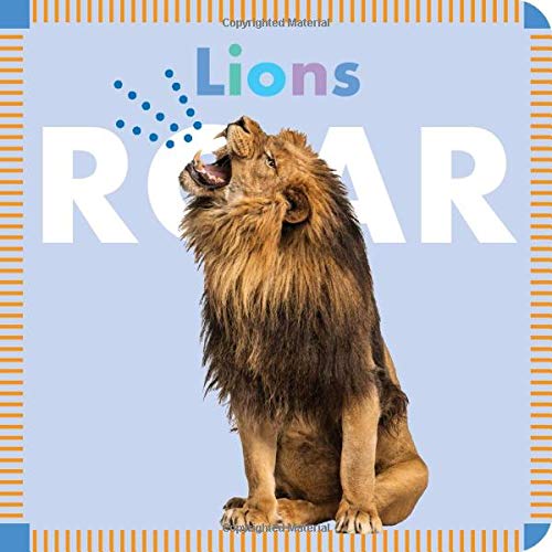 Stock image for Lions Roar (Amicus Ink Boardbooks) for sale by SecondSale