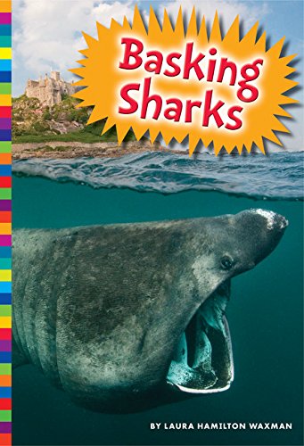 9781681520872: Basking Sharks