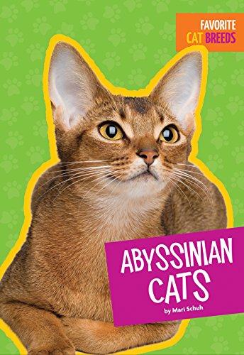 Beispielbild fr Abyssinian Cats (Favorite Cat Breeds) zum Verkauf von WorldofBooks