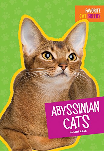 9781681520957: Abyssinian Cats (Favorite Cat Breeds)