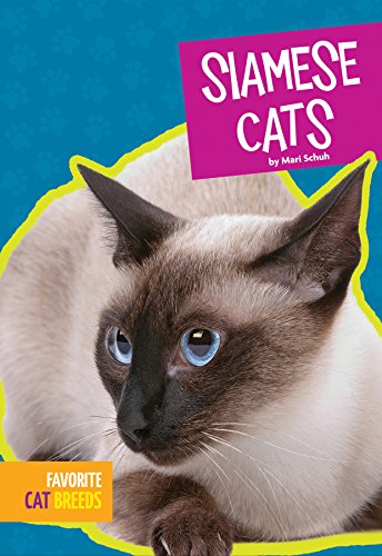 Imagen de archivo de Siamese Cats (Favorite Cat Breeds) a la venta por SecondSale