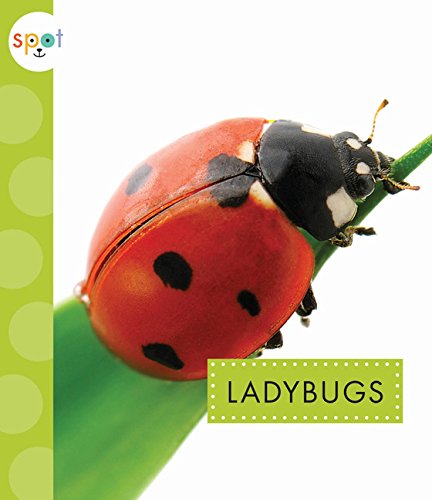 Beispielbild fr Ladybugs (Spot) zum Verkauf von SecondSale