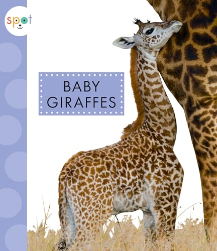 Beispielbild fr Baby Giraffes zum Verkauf von Better World Books