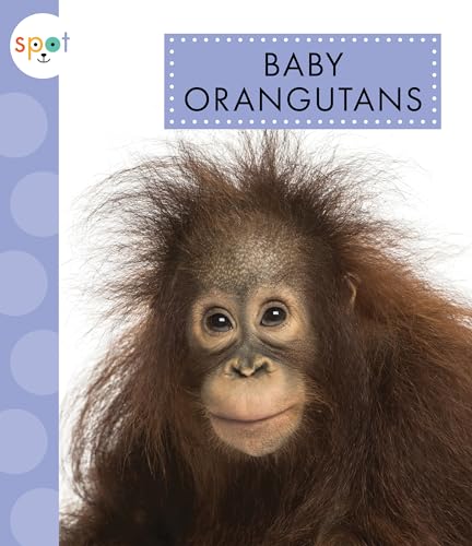 Beispielbild fr Baby Orangutans (Spot) zum Verkauf von WorldofBooks