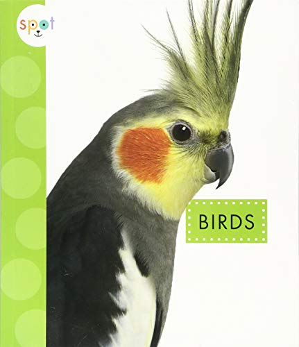 Stock image for Birds for sale by ThriftBooks-Dallas