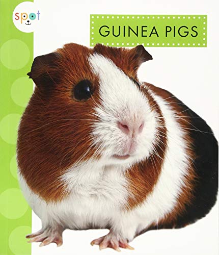 Beispielbild fr Guinea Pigs (Spot Pets) zum Verkauf von Buchpark