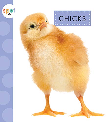 Chicks (Spot Baby Farm Animals) - Suen, Anastasia