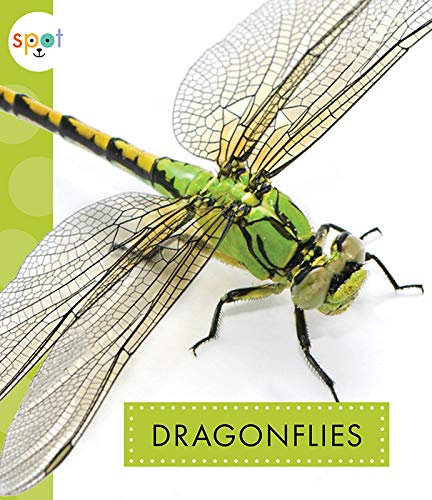 Beispielbild fr Dragonflies (Spot Creepy Crawlies) zum Verkauf von Bookoutlet1