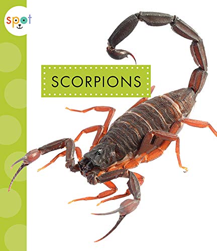 Beispielbild fr Scorpions (Spot Creepy Crawlies) zum Verkauf von SecondSale