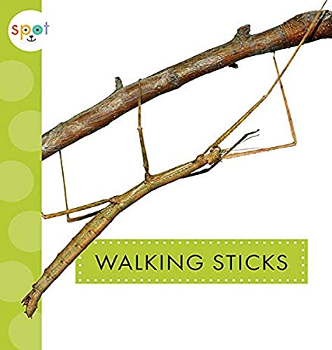 Beispielbild fr Walking Sticks zum Verkauf von Better World Books