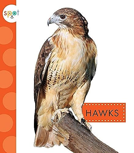 Beispielbild fr Hawks (Spot Backyard Animals) zum Verkauf von Buchpark