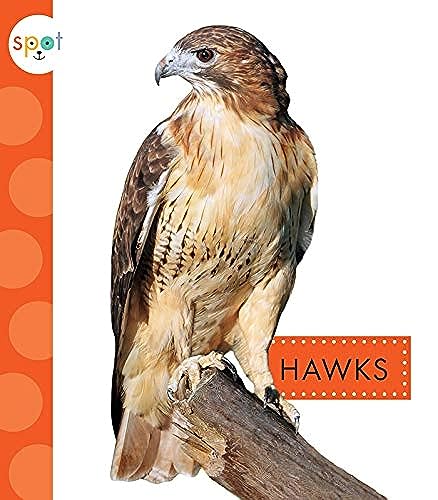9781681523811: Hawks (Spot Backyard Animals)