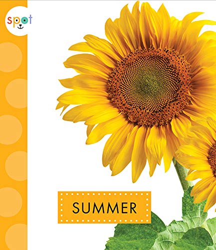 9781681523897: Summer (Spot Seasons)
