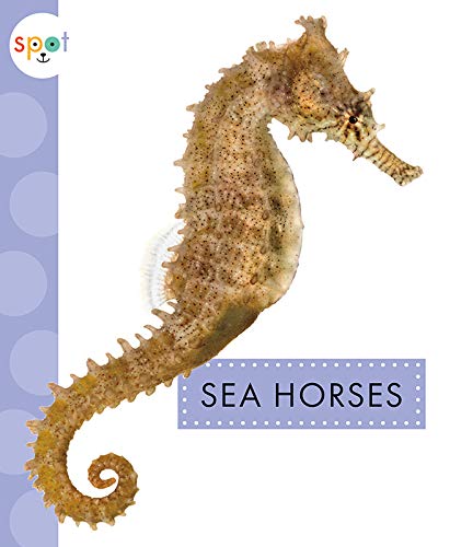 9781681524177: Sea Horses (Spot Ocean Animals)