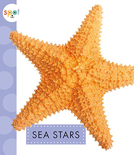 9781681524184: Sea Stars (Spot Ocean Animals)