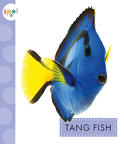 9781681524207: Tang Fish (Spot Ocean Animals)