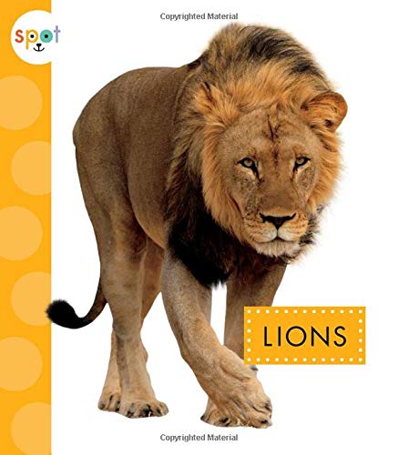 Beispielbild fr Lions (Spot African Animals) zum Verkauf von Bookmonger.Ltd