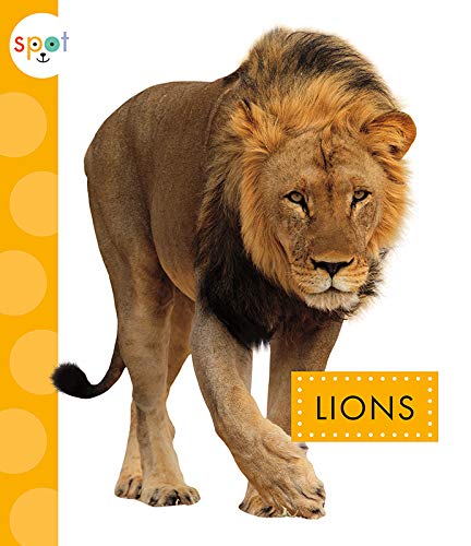 Stock image for Lions (Spot African Animals) for sale by Bookmonger.Ltd